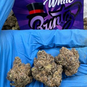 white runtz weed strain