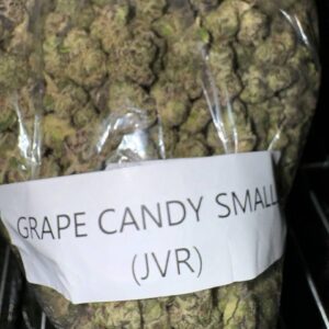grape kush strain
