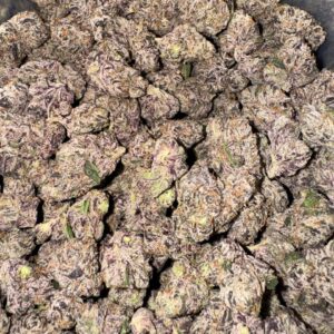 buy girl scout cookies